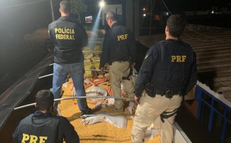 Imagen de la intervención policial.