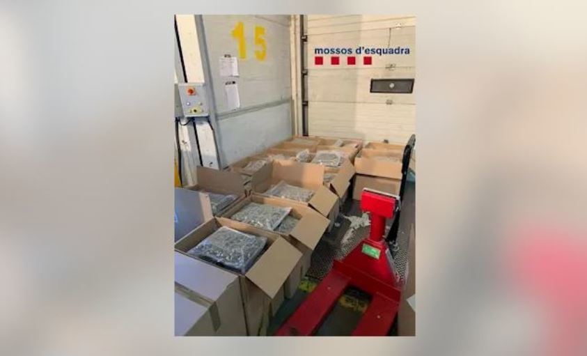 Imagen de la droga incautada