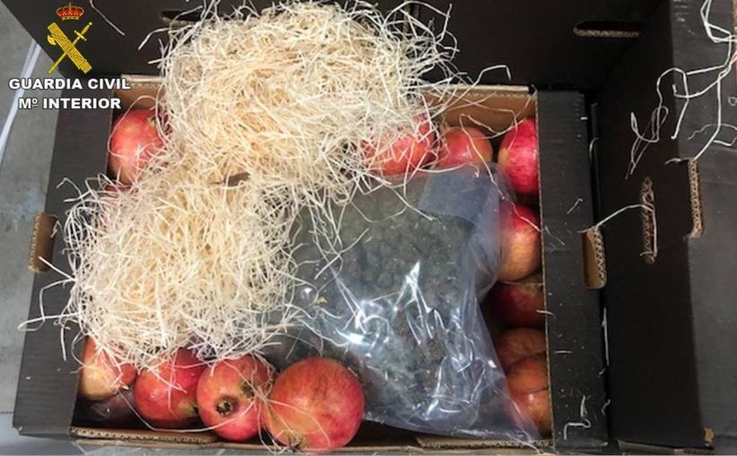 Imagen de droga incautada entre la fruta