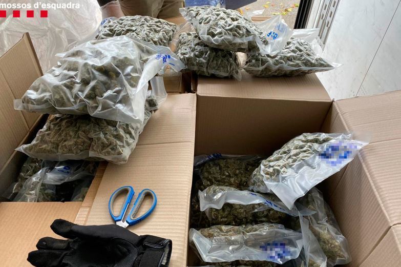 Imagen de la droga transportada