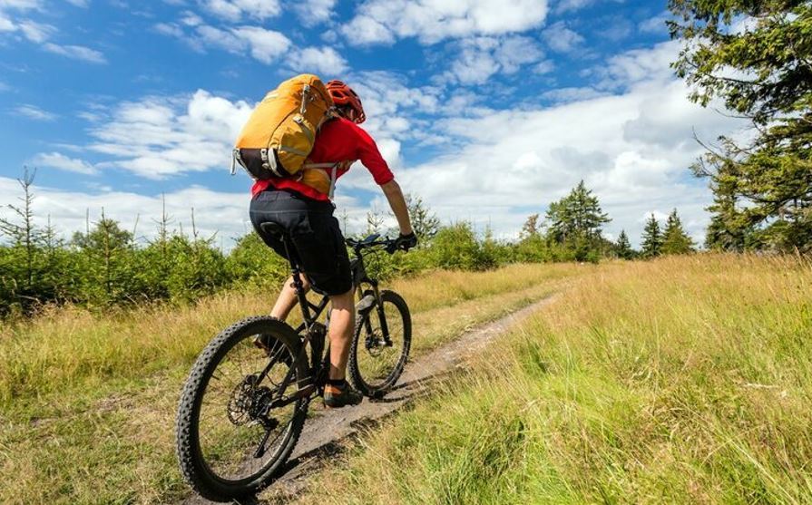 anulan despido camionero que hace ciclismo de baja