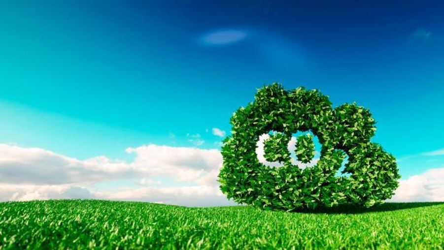 Desbloquee el verdadero potencial verde de la agricultura de carbono y evite el lavado verde