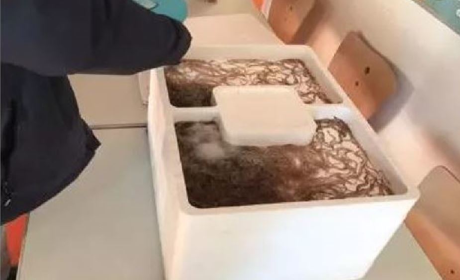 Imagen del tráfico de angulas