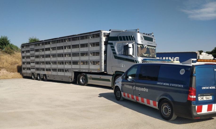 Imagen de Las noticias más leídas en 2022: Detenido un camionero que circulaba con una tarjeta en el tacógrafo a nombre de un holandés