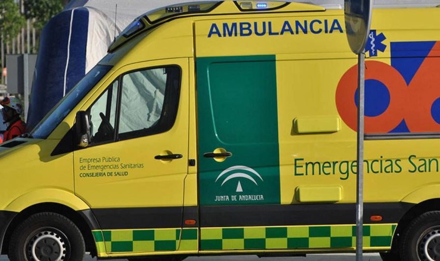 Fallece un camionero al colisionar con la mediana y volcar en la A-316