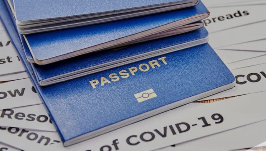 Fenadismer pide que se exceptúe al transporte del pasaporte sanitario