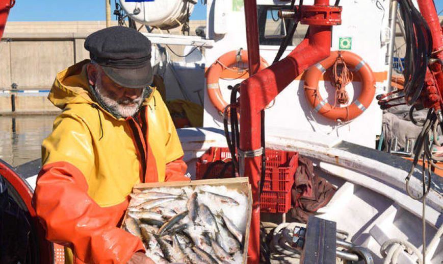 La pesca un sector afectado por el Brexit