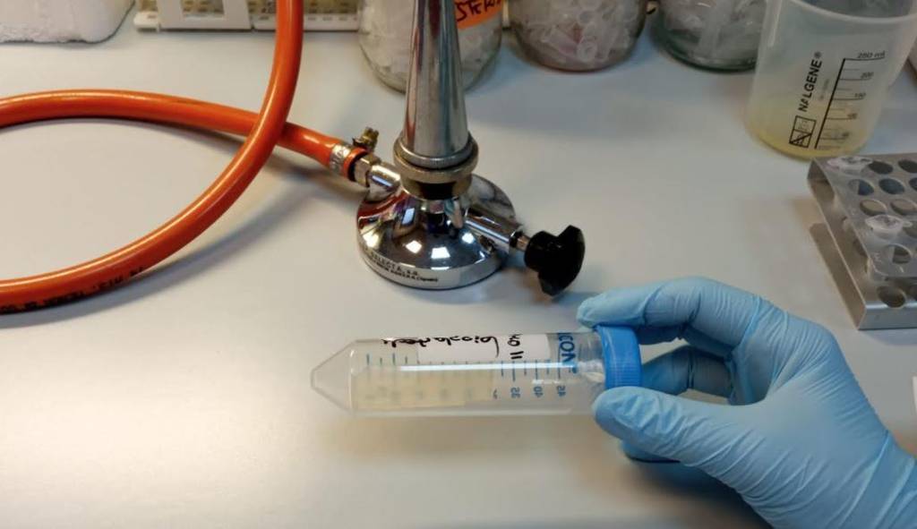 Fundación Primafrio colabora en una investigación del CSIC para abordar la contaminación por plásticos