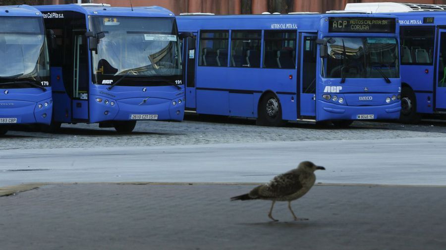 GALICIAAUTOBUSES