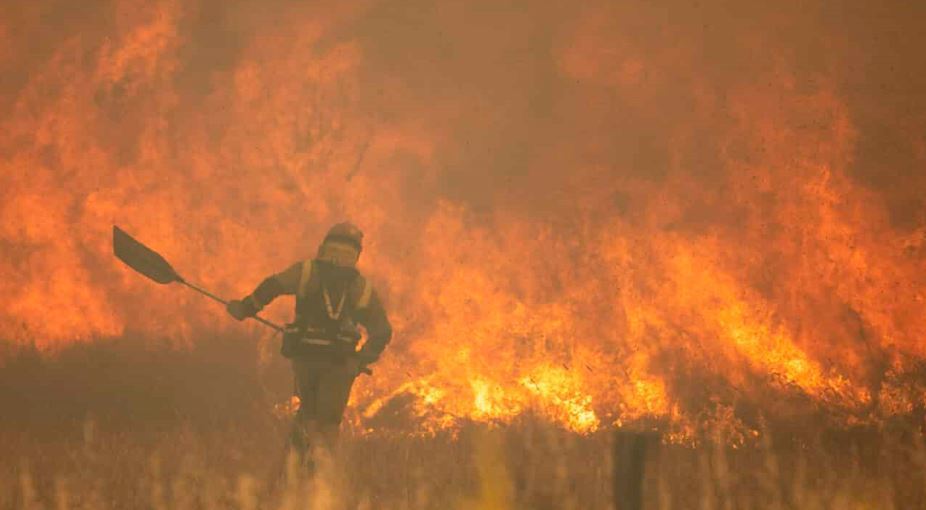 Imagen de incendio y Greenpeace España ante la Junta de Castilla y León