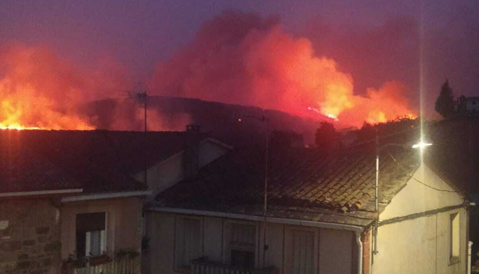 Imagen de Greenpeace y los incendios forestales