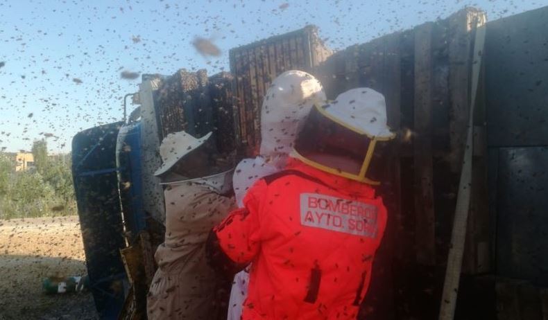 Bomberos de Soria en el lugar del accidente
