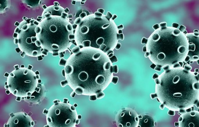 Imagen de un coronavirus