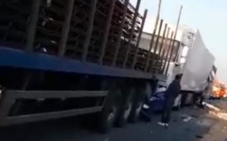 Imagen del vídeo