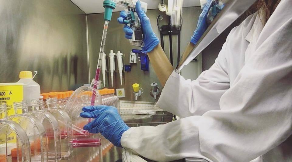 INVESTIGACIONCANCER