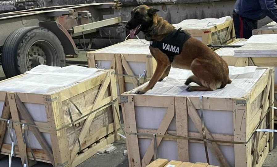 Un perro policía detecta la heroína incautada