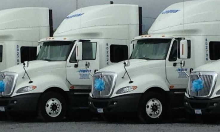 Imagen de camiones de Transportes Jaguar