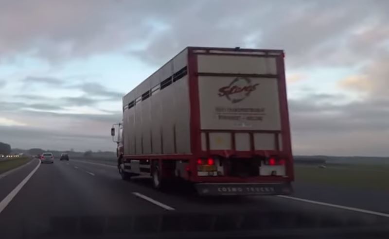 Las nuevas normas de conducción explicadas en vídeo por Rafael Soto