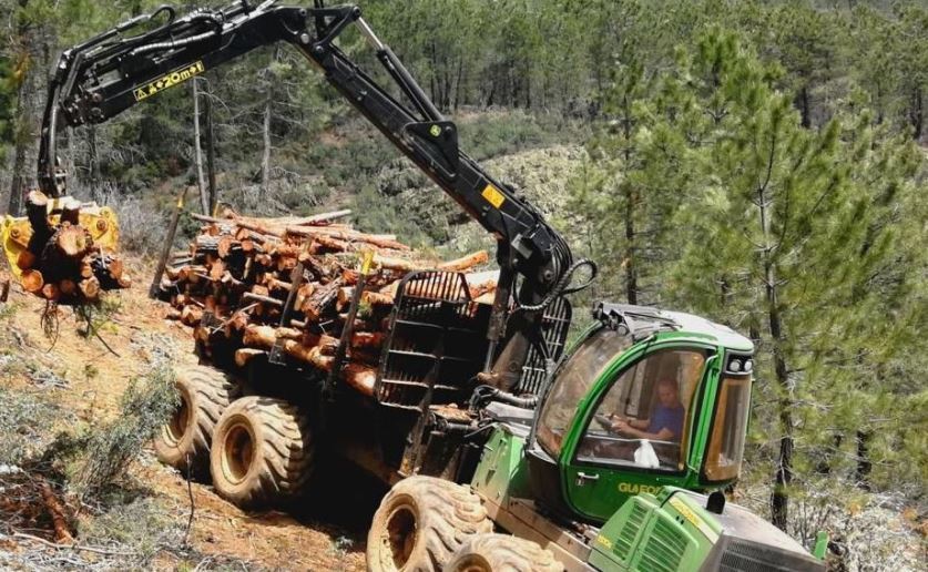 Imagen de Leñas El Cardoso S.L. trabajando en la Sierra Norte de Guadalajara