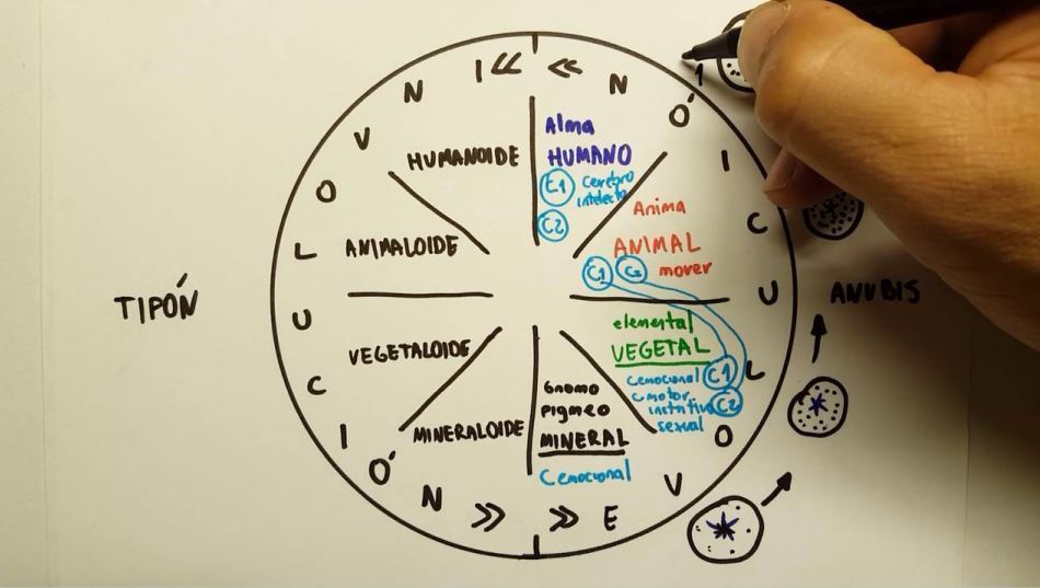 Evoluciona y revoluciona dos conceptos
