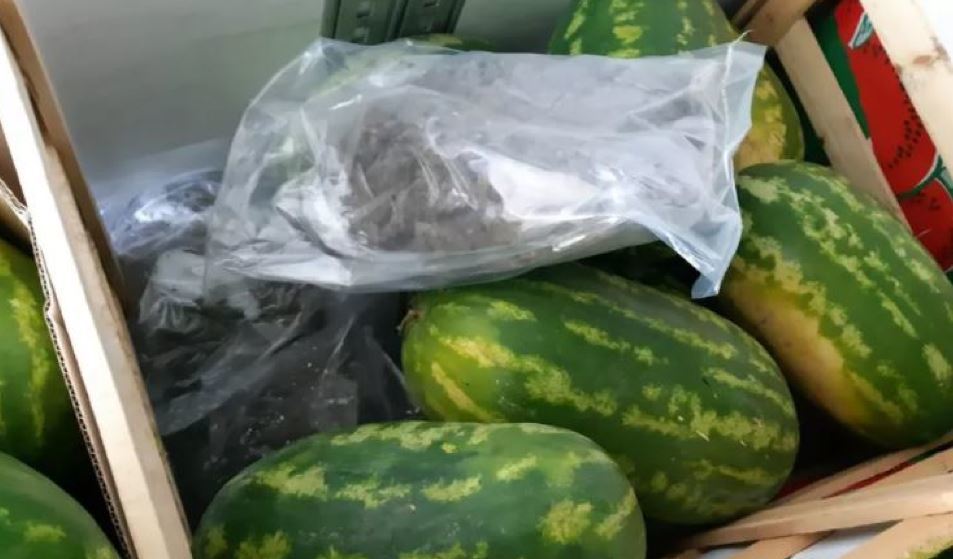 Localizan 403 kilos de cannabis entre la carga de sandías de un camión