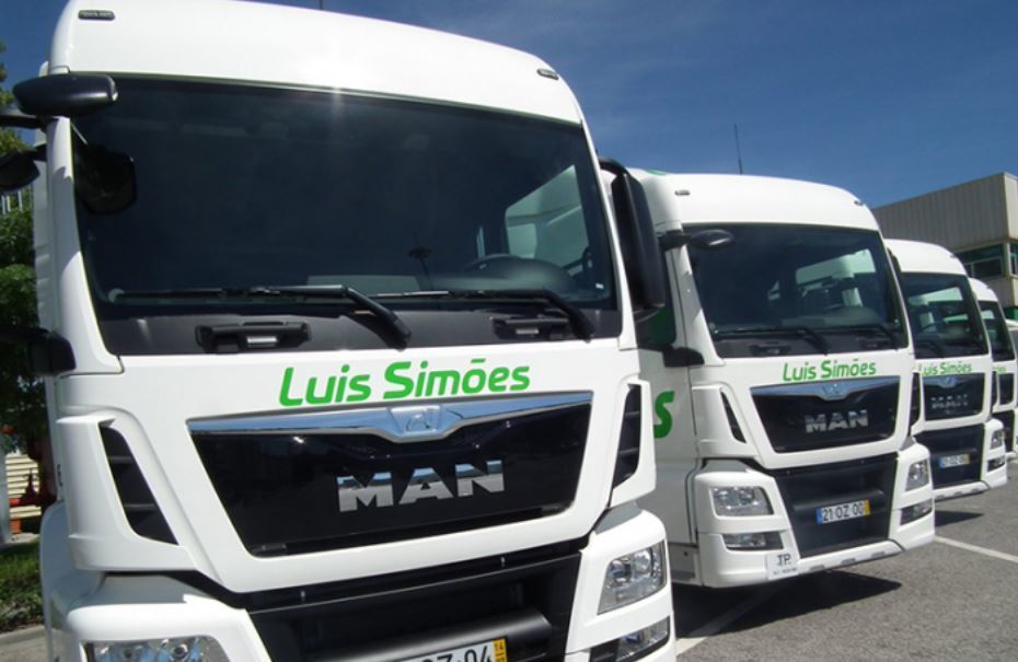 imagen de Luis Luís Simões y la solidez financiera de COTEC