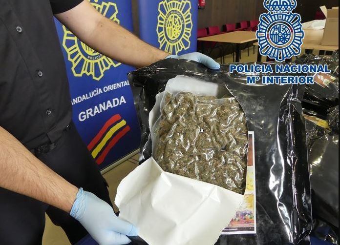 Bolsas de marihuana localizada en la cabeza tractora