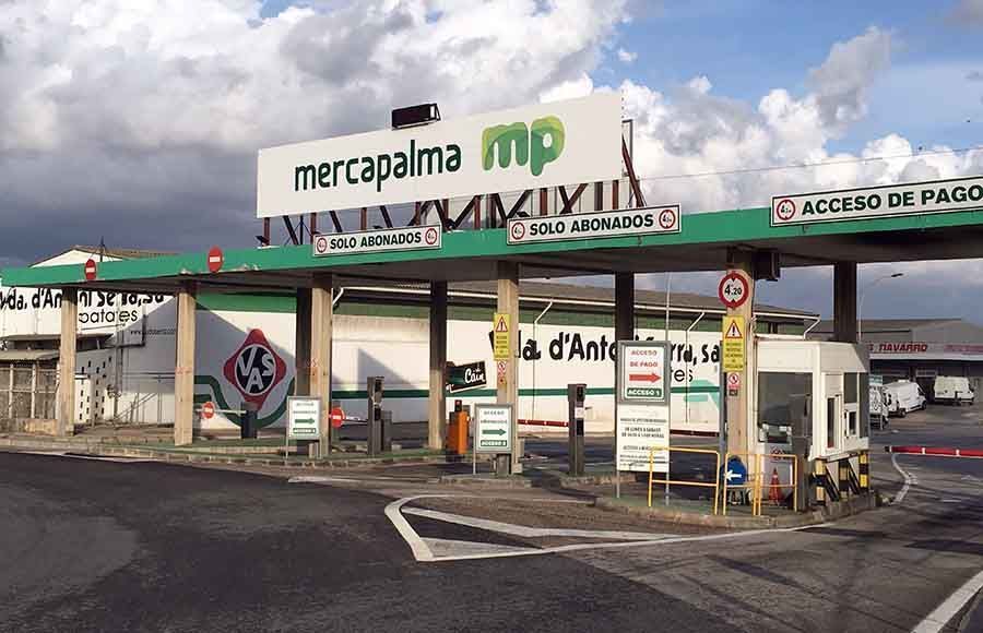 MERCAPALMA
