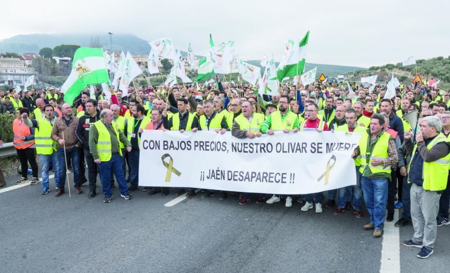Imagen de un corte de carretera en Jaen