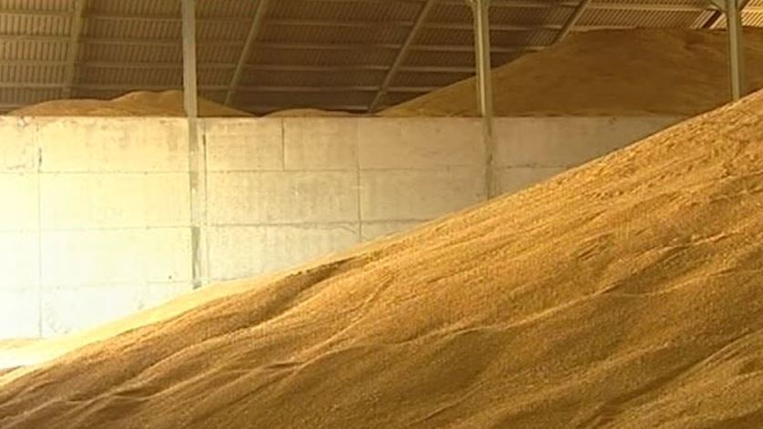 Más de 4 millones de toneladas de cereales bloqueadas en los puertos de Ucrania