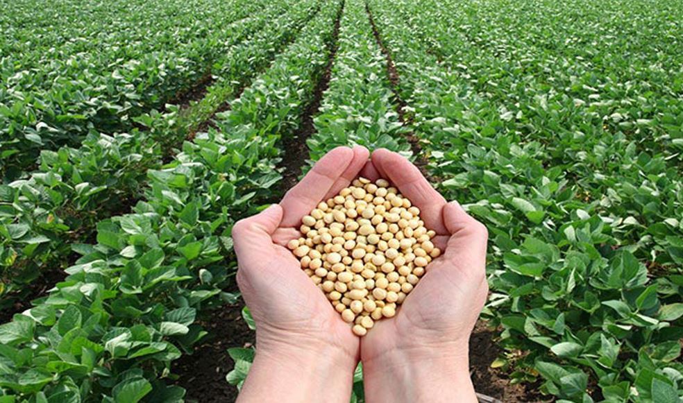 Ministro de Agricultura: "Hay que mantener el rumbo ambiental de la nueva PAC"