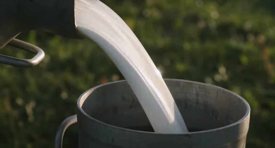 Madre Esla, la nueva marca que llega para triunfar