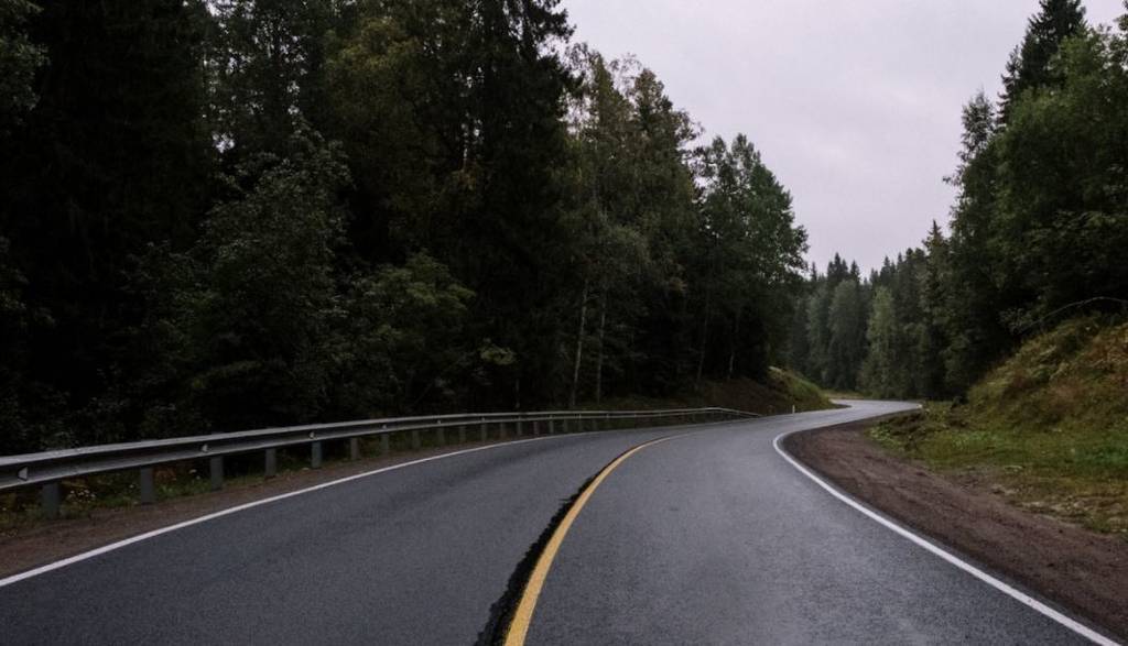Productos y servicios asociados a la automoción: funcionalidad y seguridad en la carretera