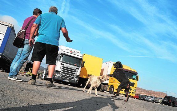 ROBOCAMIONESVEGABAJA