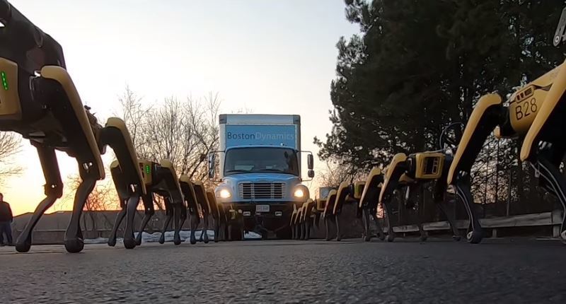 Imagen del vídeo