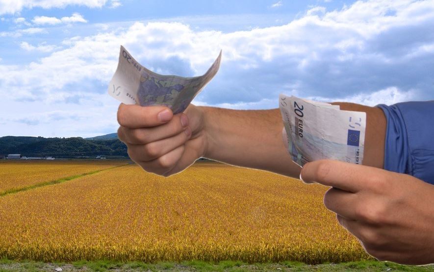Sale a información pública el borrador del real decreto de ayuda a los sectores ganadero y agrícola