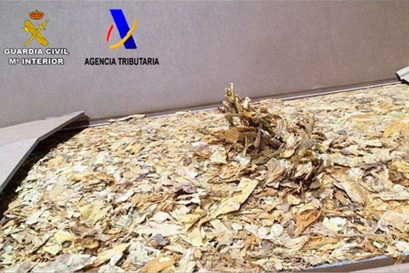Picadura de tabaco ilegal incautado
