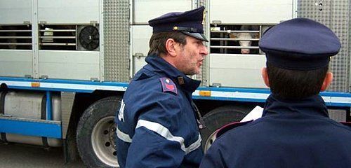 TRANSPORTEANIMALESITALIA