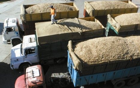 TRANSPORTECEREALURUGUAY