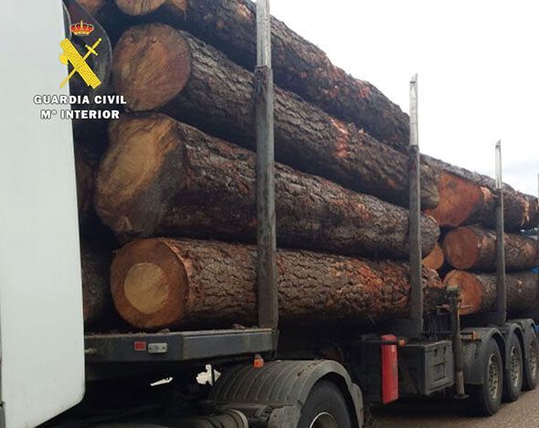 TRANSPORTECONEXCESODEPESO