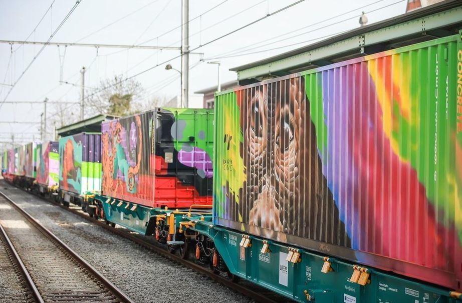Imagen de los vagones del tren de Noé