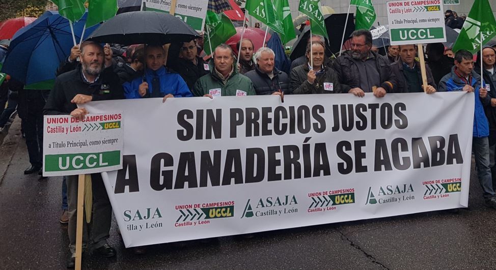 manifestación de protesta contra el Gobierno