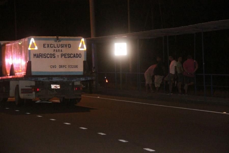 camionde-pescadocondroga