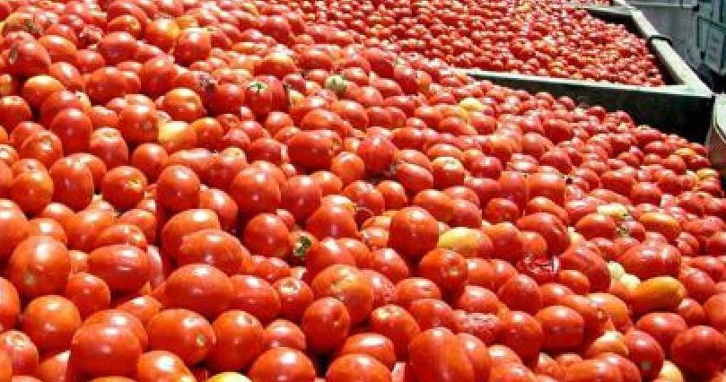 Camiones cargados con tomates