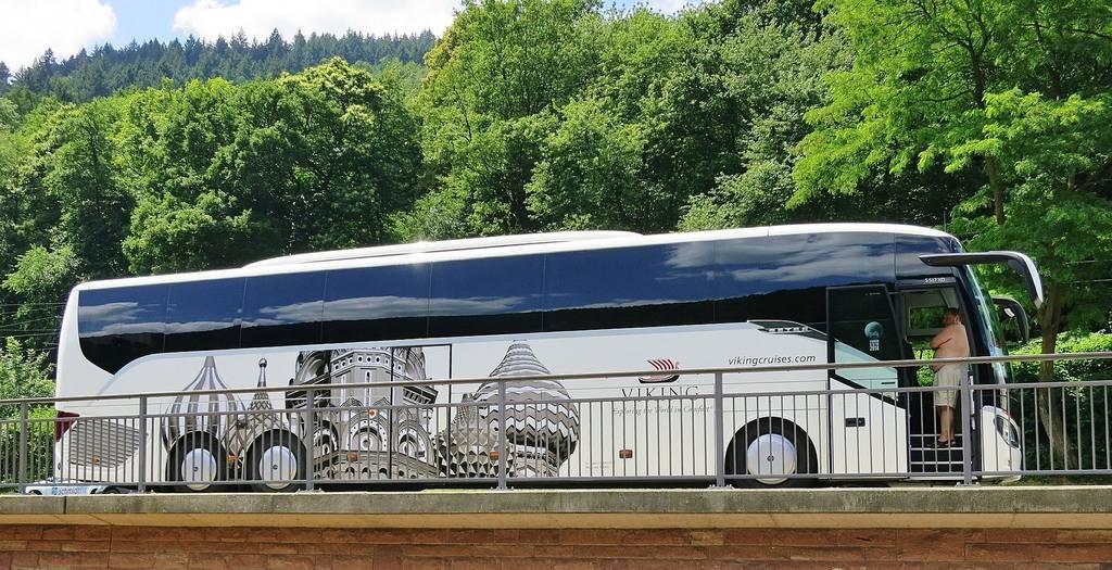 coach-384718_1920