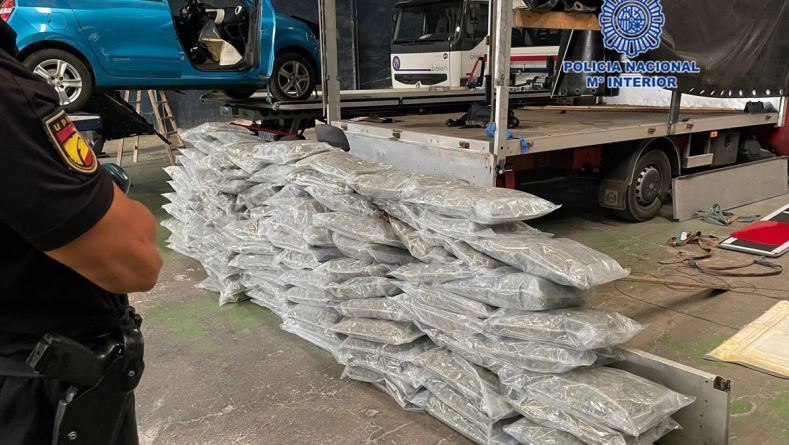 Imagen de la marihuana interceptada