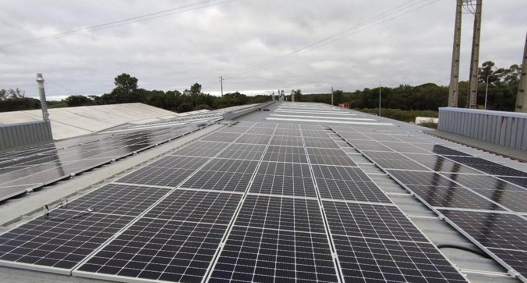 Paneles solares