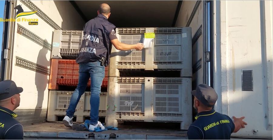 Mercancía entre la que se encontró la droga