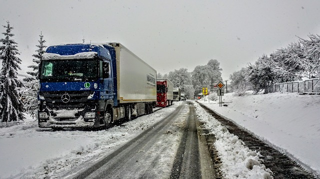 neumaticos de nieve