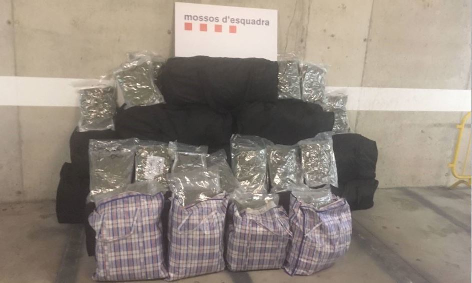 Imagen de la droga incautada por los Mossos